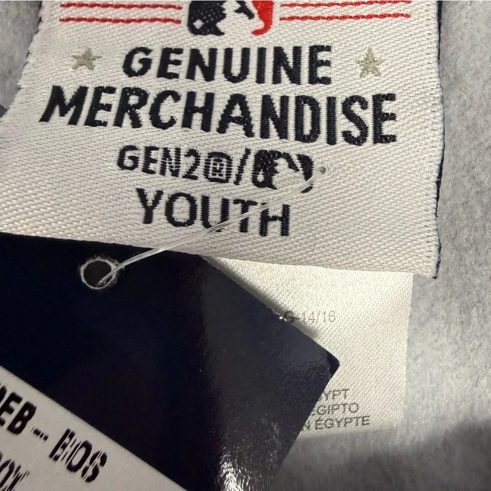 NWT Boston Red Sox Hoodie Youth L 14/16 Performance Sweatshirt Gray MLB Apparel